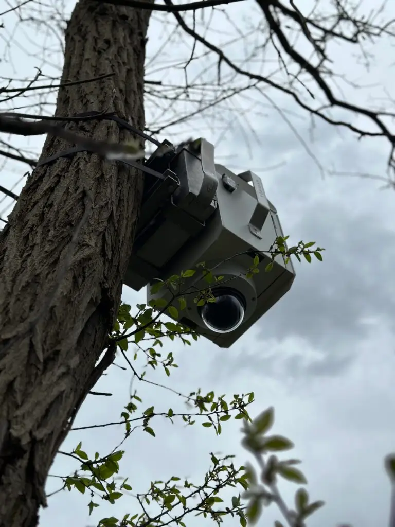 Caméra mobile fixée à un arbre